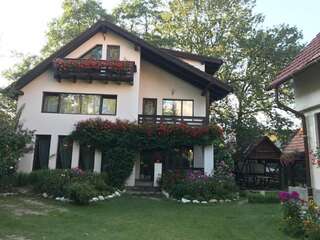 Гостевой дом Relax Бран-2