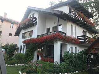 Гостевой дом Relax Бран-4